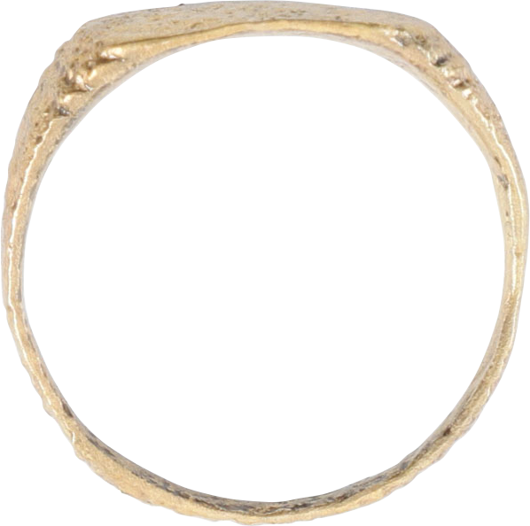 VIKING WARRIOR’S RING C.750-900AD, SIZE 9 - Fagan Arms