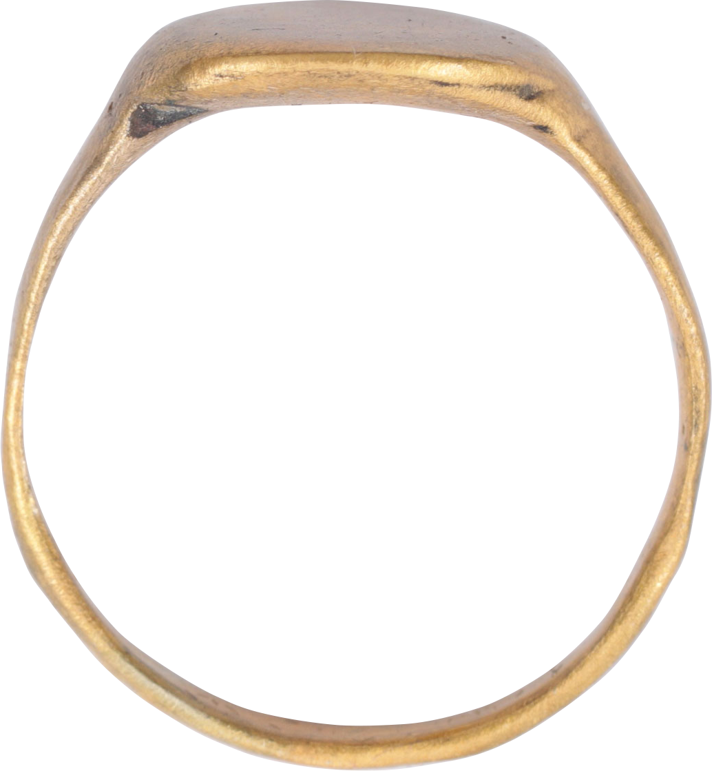 VIKING WARRIOR’S RING, 9TH-11TH CENTURY, SIZE 8 ½ - Royalty Rings