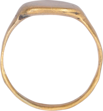 VIKING WARRIOR’S RING, 9TH-11TH CENTURY, SIZE 8 ½ - Royalty Rings