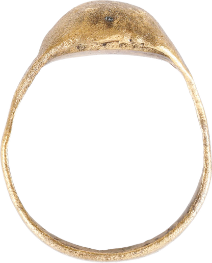 VIKING WARRIOR'S PINKY RING, SIZE 5 ¾ - Fagan Arms