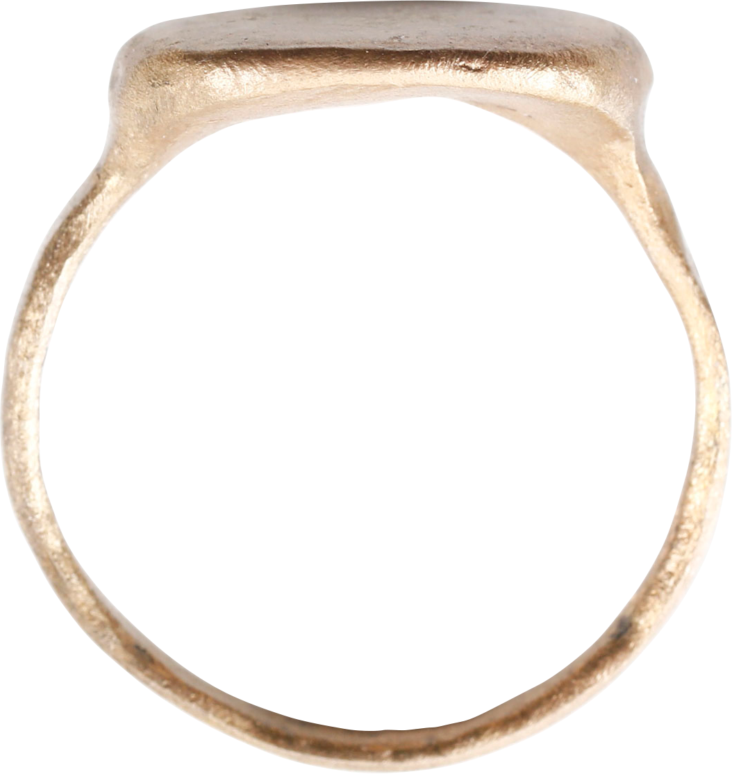 VIKING WARRIOR’S RING C.800-1050 AD, SIZE 10 ½ - Fagan Arms