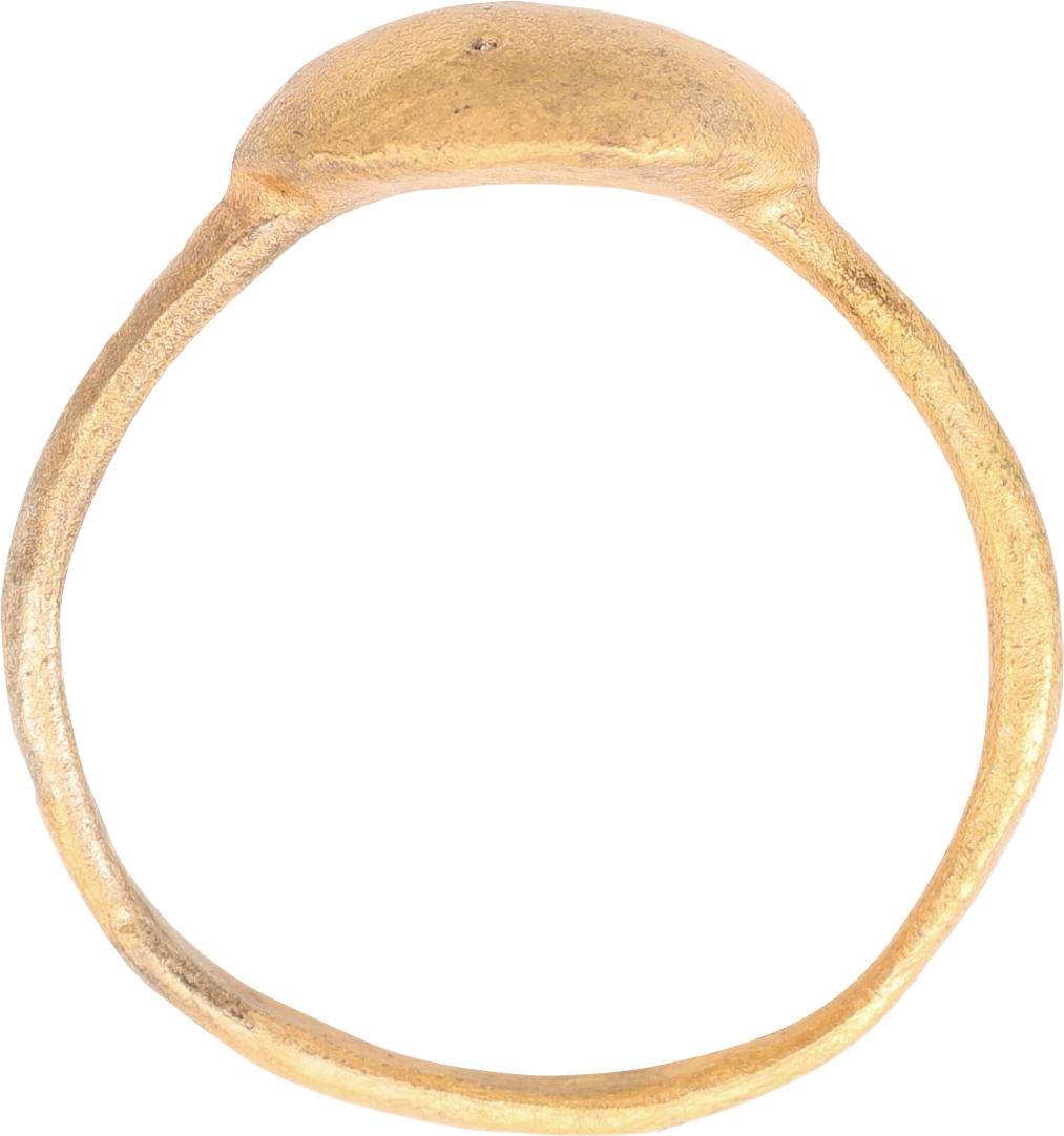 VIKING WARRIOR’S RING 800-1000 AD, SIZE 9 ¾ - Fagan Arms